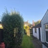 Photo 7: Rear Garden