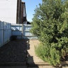 Photo 7: Garden