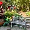 Photo 4: Our shared garden 