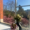 Photo 9: Your rooms view