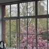 Photo 2: Your rooms view 