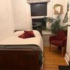 Photo 3: Forest Room