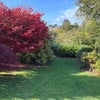 Photo 8: Garden
