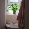 Photo 7:  Bathroom 