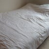 Photo 7: Large Comfy Bed