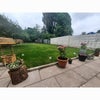 Photo 3: Garden 