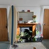 Photo 3: Large sunny bedroom with built in storage