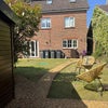 Photo 4: Sunny rear garden
