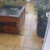 Photo 9: Garden
