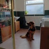 Photo 4: bathroom