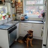 Photo 5: kitchen