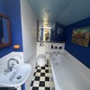 Photo 8: Downstairs bathroom 