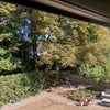 Photo 4: Garden