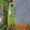 Photo 5: Rear garden