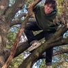 Photo 2: Adults should climb more trees