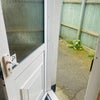 Photo 7: Entrance to Garden