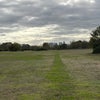 Photo 9: Wanstead Flats at the other end of the street!