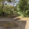 Photo 8: Entrance to Epping Forest at one end of street!