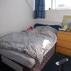 Photo 2: Room at £365 pcm from 1st Dec