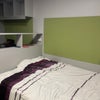 Photo 3: Bed & poster wall
