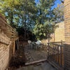 Photo 7: Garden