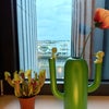 Photo 4: Window overlooking River Clyde
