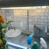 Photo 6: Garden