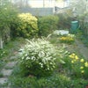 Photo 3: Garden