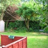 Photo 5: garden