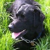 Photograph of Simon / Tracey