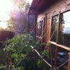 Photo 2: log cabin room at sunset