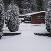 Photo 3: Garden
