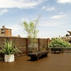 Photo 5: Wonderful roof terrace