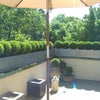 Photo 2: Roof terrace