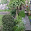 Photo 3: View over garden