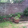 Photo 4: part of garden