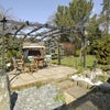 Photo 6: Walled Rear Garden