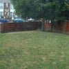 Photo 9: Shared Rear Garden