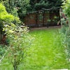 Photo 8: garden