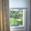 Photo 6: View of garden from room