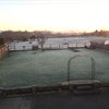 Photo 6: Garden in Winter