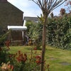 Photo 2: Back garden