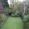 Photo 5: Garden
