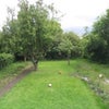 Photo 4: Garden