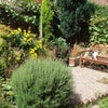 Photo 3: Garden