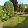 Photo 6: Garden