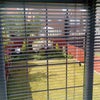 Photo 8: Bedroom 3 Garden View