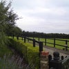 Photo 2: paddock