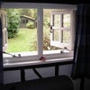 Photo 5: Through the square window today...!