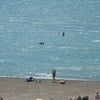 Photo 8: sea swimming